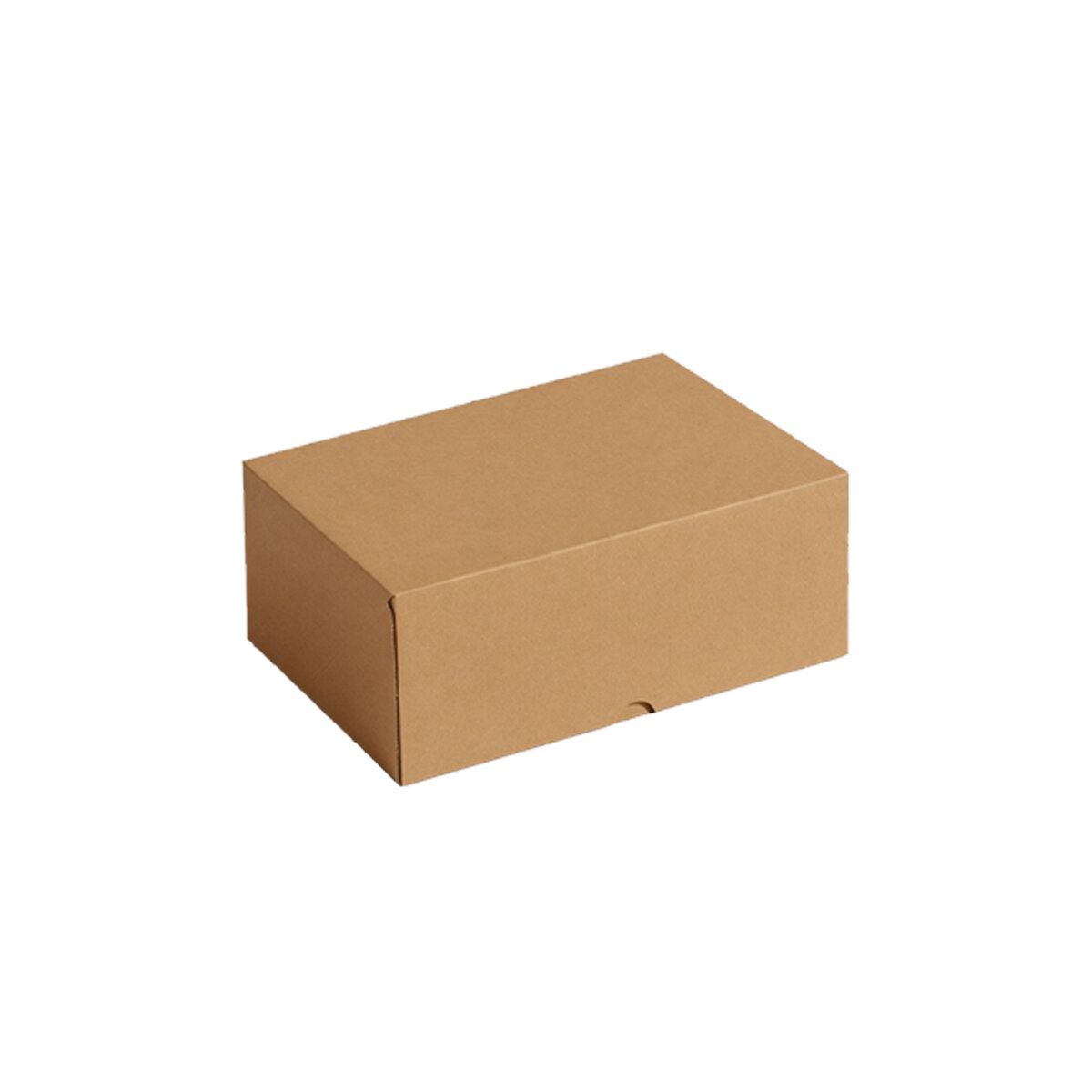 50pcs Lastik Tamir - Yama Fitili